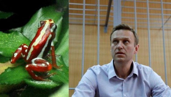 Russia Killed Opposition Leader in Prison with Deadly Frog Toxic Poison: New Report Revealed