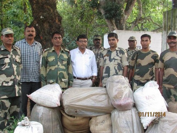 SDM Sonamura, BSF joint operation destroys contrabands worth Rs 34 Lakh