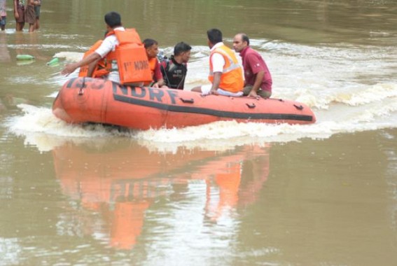 NDRF team recovers body