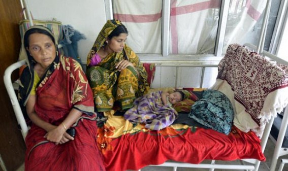 Assured treatment, special diet missing for malaria patients, says Congress