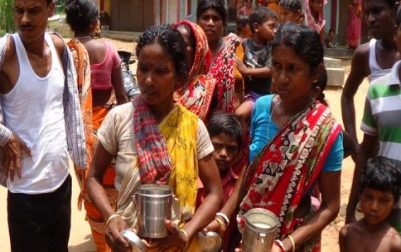 Anganwadi workers sacked off from service after dead insects found on mid-day meal 