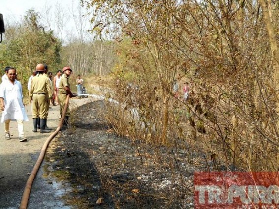 Fire at rubber garden caused massive losses : FIR lodged 
