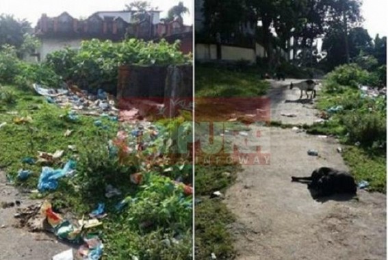 Kumarghat's municipal worries :  Garbage in Dustbin of Municipality left in deplorable condition
