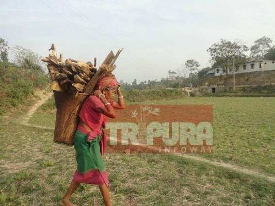 Remote Villagers of Tripura still dependent upon wood for cooking    