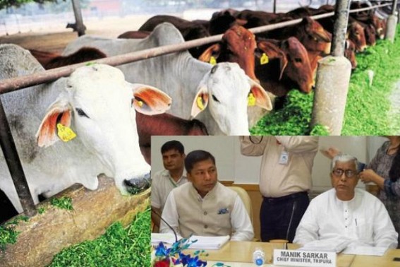 Congress / CPI-M's Brotherhood gears up in Northeast ahead of Assembly Election-2018 : Meghalaya Congress CM writes to Tripura CPI-M CM over cattle trade 