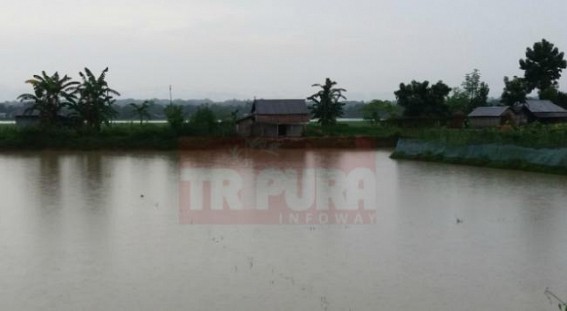 Paddy fields washed away in rain, farmers running under loss