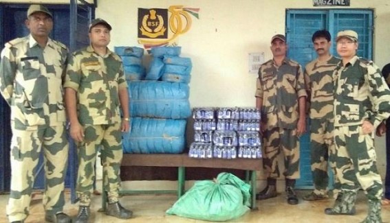 Major seizure of Ganja, Phensedyl by BSF 