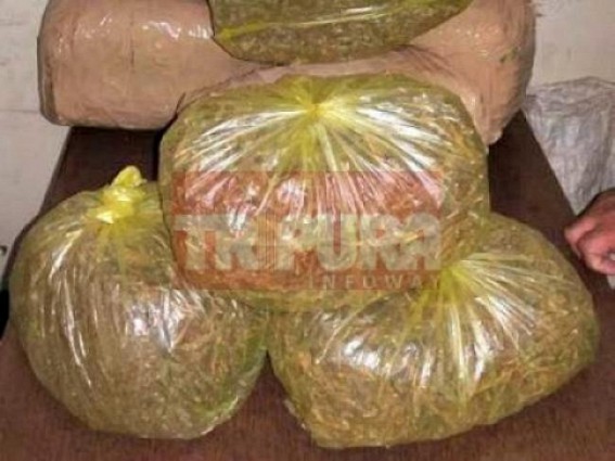 2 Tripura men arrested with 583 kg dry cannabis in Assam