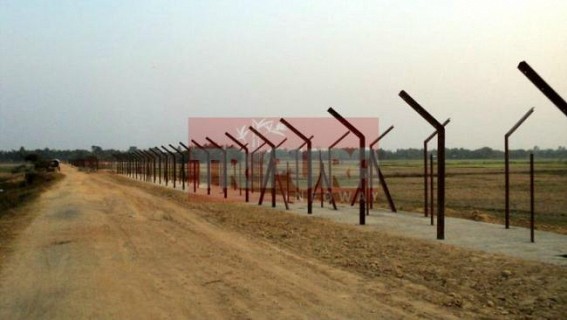 Indo-Bangla border lined 80 % plain fertile lands went to Bangladesh during fencing  