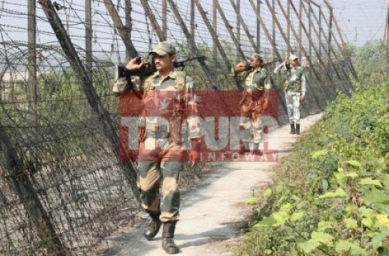 Terror attack in Bangladesh: BSF on high alert