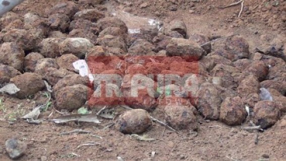 Twin Grenade blast caused losses to 11 families at Kailashahar