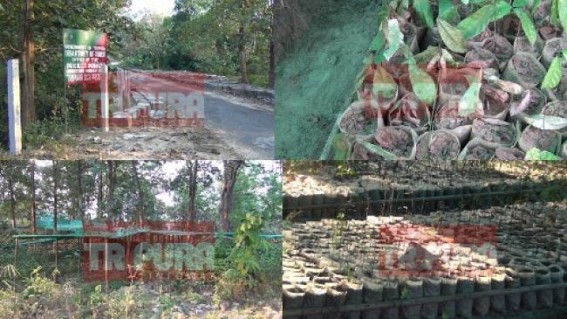 Massive corruption in plantation drive continues under Naresh Jamatia's Ministry : Embezzlement of Rs. 55 lakhs in Central Govt & JAICAâ€™s joint project hits Tripura Forest Dept 