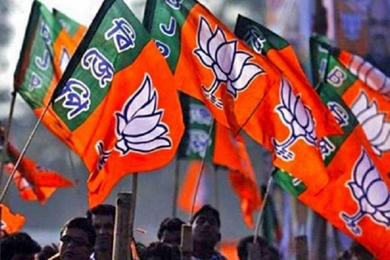 Two BJP activists suspended in Tripura for beating widow mother