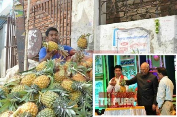 'Profit lower than BJP Govt's advertisement cost for Queen Pineapple', Govt Officials luxurious tours in the name of 'Pineapple-Utsav' Exposed by opposition 