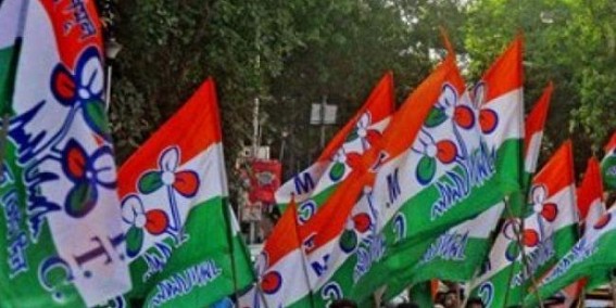 'BJP Yuba Morcha activists were not attacked, but caught in illegal activities in Bengal', says Trinamool