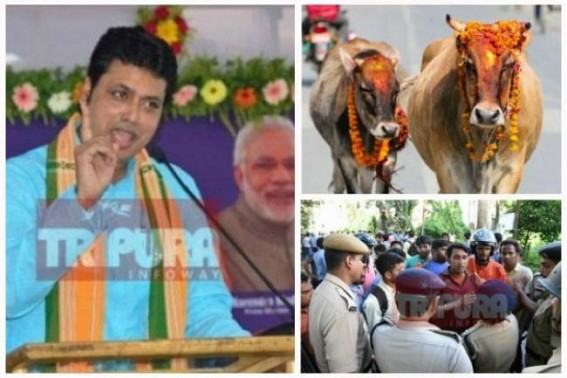 Tripura experiencing highest ever Unemployment Percentage under BJP Govt : Biplab Deb continues cracking jokes on 'Qualified' Youths 