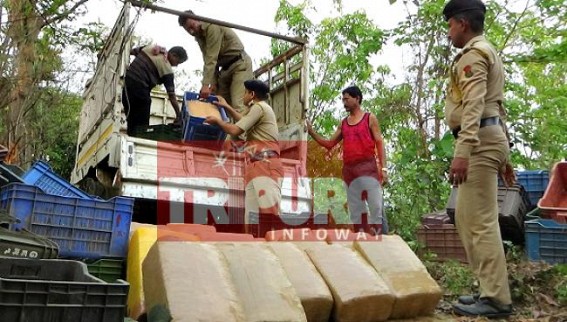 Illegal ganja business on spike : Police arrest Kolkata businessman at Udaipur, vehicle seized with 330 kg ganja