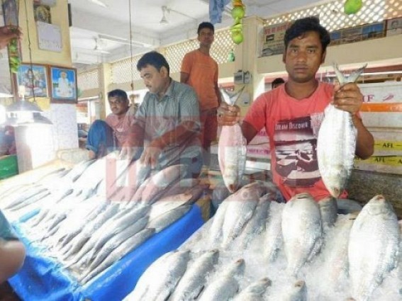 Tripura demands direct import of Hilsa fish from Bangladesh : Export-Import policies demand revision 