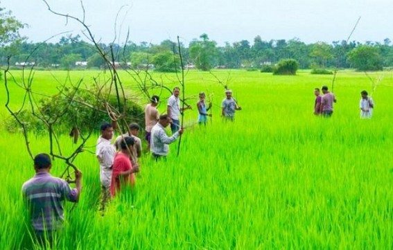 Mizoram urges Centre to cover 80% people under National Food Security Act