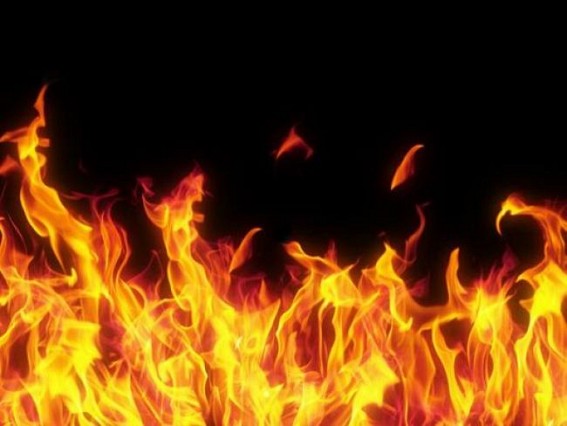 BJPâ€™s hooliganism : Fire set on CPI-M leaderâ€™s wife, critical