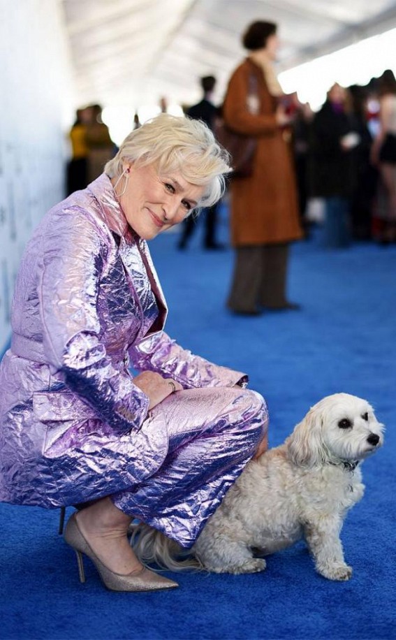 Glenn Close's dog steals the show during award ceremony