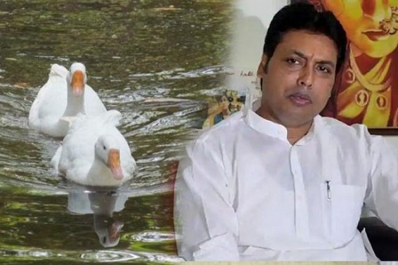 â€˜It costed 1 crore for 2000 ducksâ€™, says Biplab Deb, means Rs. 5000 per duck ???