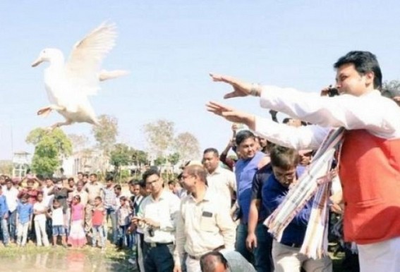 Duck Row : 400 ducks out of 2000 died within 4 days of distribution, Biplab Deb claimed, â€˜1 duck worth Rs. 5000â€™