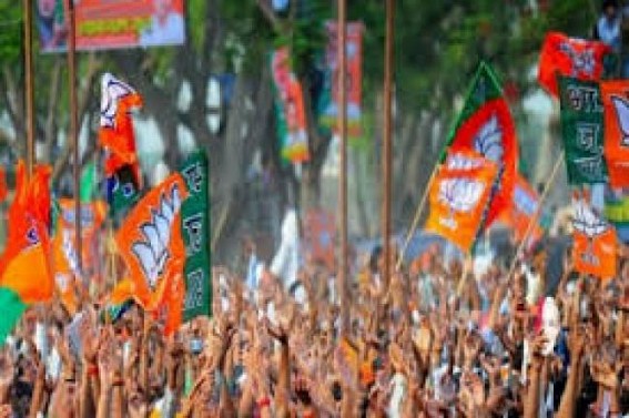 Insulted BJP activists threatened to boycott vote on re-poll at Udaipur