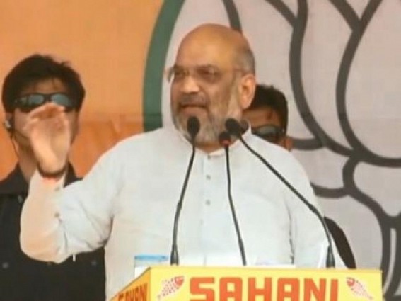Amit Shah says 'terrorists like Zakir Naik' hoping for Congress victory so that 'they can return to India'