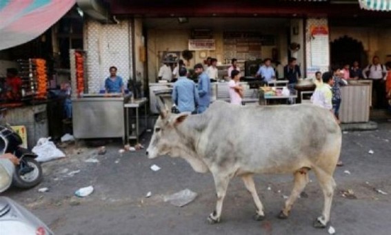 Man shot dead over allegation of smuggling cows in Kashmir