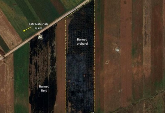 Satellite images show crops on fire in Syria rebel enclave