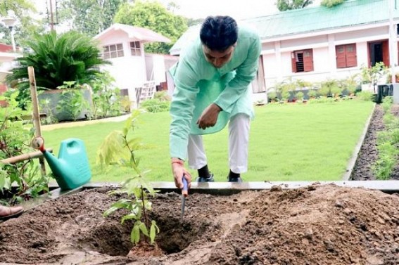 Tripura CM to inaugurate massive plantation drive for â€˜Green Tripuraâ€™