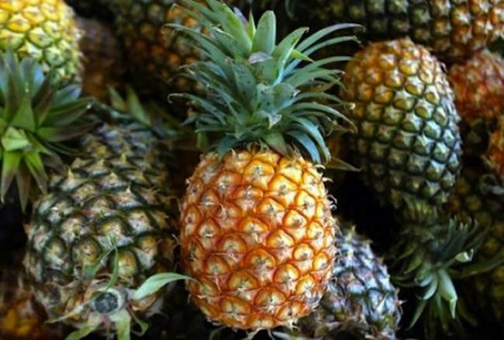 Tripura exported pineapples to Bangladesh  for first time