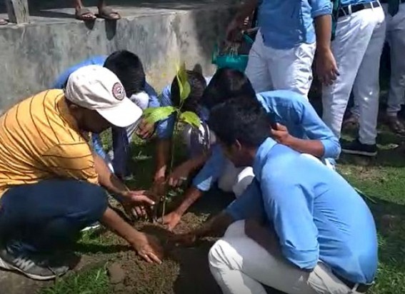 Tripura schools forwarding hands in massive plantation drive