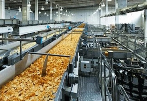 'Food processing industry has immense potential in NE'