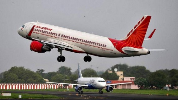 Beesâ€™ clinging delayed Kolkata-Agartala Air India flightâ€™s departure 