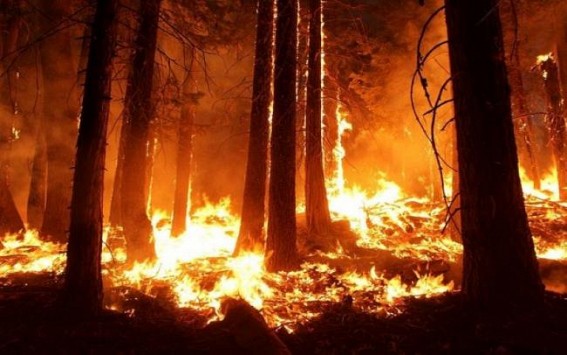 California continues to battle wildfires