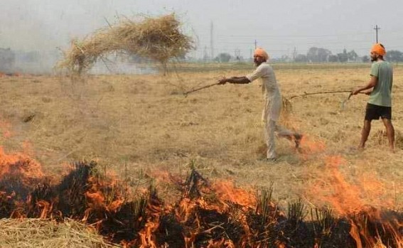 300 farmers booked for stubble burning in UP