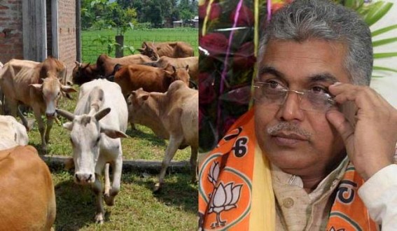 Indian cow milk contains gold, Beef-eaters are anti-social : Bengal BJP chief