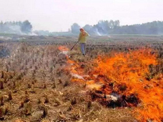 Stubble burning to abate as wheat sowing up in Punjab