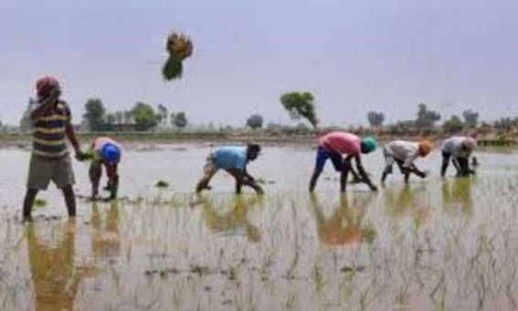 Officials asked to correct data of PM-KISAN scheme in UP