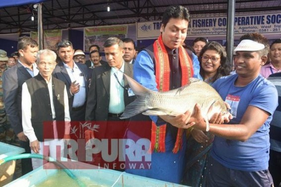 State level Fish Festival begins, CM opts for Rs. 700 crores  per year crores from pisciculture