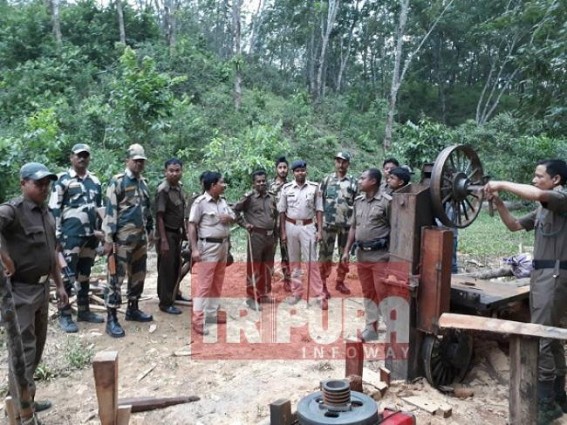 Forest Dept busted illegal logging at Udaipur