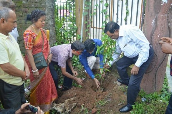 Plantation drive continues in Tripura under Green Tripura movement