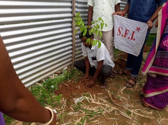 SFI held plantation drive to mark 50th foundation-year of SFI