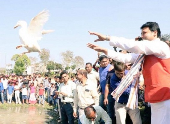  â€˜2000 ducks arenâ€™t free, they costed 1 crore & managed from tax collected from peopleâ€™, says Biplab Deb