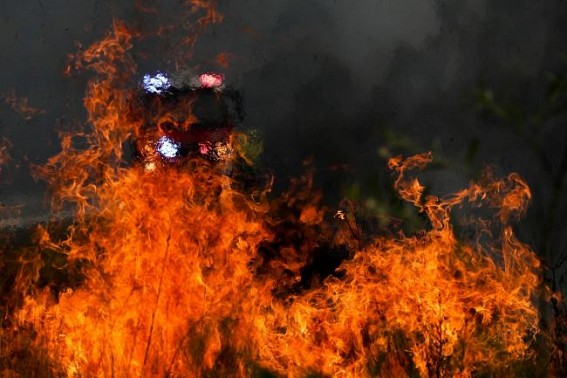 Seven dead, over 200 homes destroyed in Australia fires
