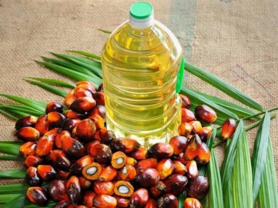 Ban on Malaysian ref palm oil imports to help domestic industry