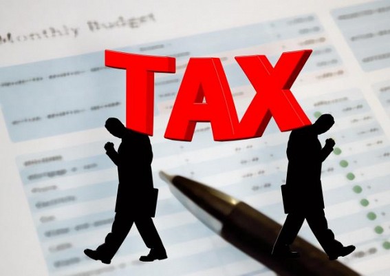 Two tax systems give flexibility, widen people's choice: Rev Secy
