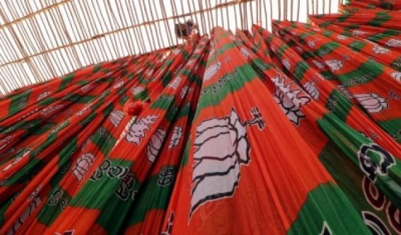 BJP's Delhi post-mortem: Aim for 50% vote share, forget Cong